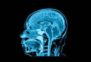 По-младите поколения имат по-голям мозък. Това по-здравословно ли е?