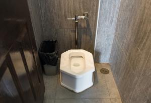 Вентилаторите намаляват риска от вдишване на бактерии след пускането на водата в тоалетната