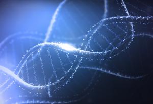 Учени от БАН разкриха нова функция на ключов белтък с ефективно действие в противораковата терапия