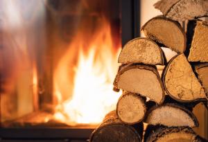 Виц: Търся си есенно гадже