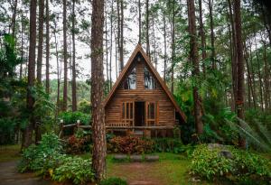 Архитектура от естествени строителни материали: здравословна, комфортна и климатично неутрална жизнена среда