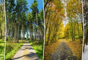 Променят ли се сезоните по света и в България?
