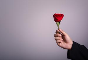 Мъжете: между бившата и мечтата за бъдещата