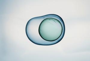 Звукът влияе директно върху клетките в човешкото тяло