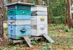 Виц: Обява за уголемяване на устни