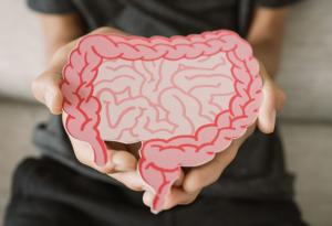 Ритмичните движения на червата може да обяснят синхронизацията в мозъка