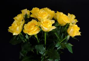 Цветята, които никога не трябва да подарявате на близките си