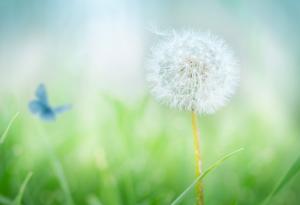 Отвъд видимото е красотата