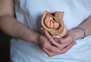 В утробата на мама: 40 седмици самота