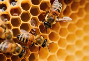 Научиха рояк от миниатюрни роботи да строи без чертежи подобно на мравките и пчелите