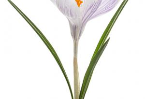 Това, за което се грижим, расте