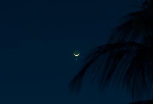 Затъмнение на Венера ще бъде наблюдавано от Земята в четвъртък 