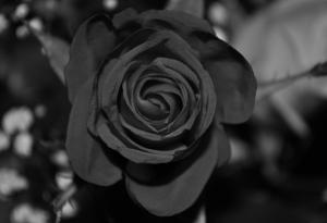 Смъртта на Здравия разум