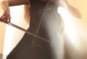 Виц: Интелигентно софийско семейство