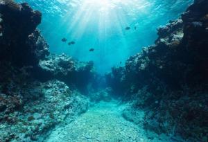 Тихоокеанският регион е изправен пред "троен удар" от климатични заплахи