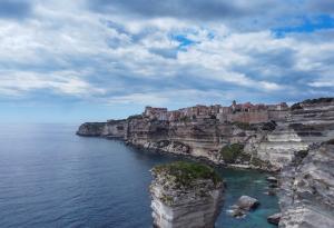 Учени откриха нови видове насекоми в Корсика