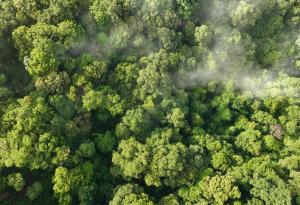 Създадоха система за превръщане на отпадъчен въглероден диоксид в полезни химикали