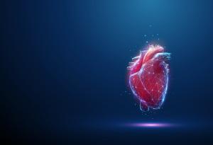 Магнитна течност, инжектирана в сърцето, може да предотврати инсулт