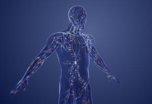 Създадоха полимер, подходящ за печат на изкуствени органи