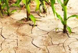 Рекордна суша е отчетена в началото на юни в Европа и по средиземноморското крайбрежие 