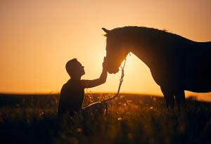 Как конете улавят емоциите ни, без да кажем и дума