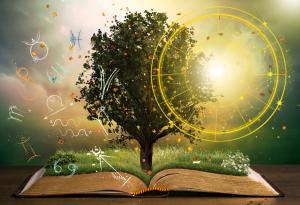 3-те зодиакални знака, които ще са най-големите късметлии през 2024 г.