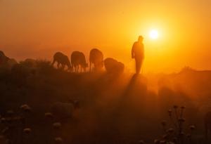 Виц: Сине, научи ли гръцки?