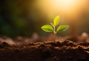 Терахерцова спектроскопия разкрива как растенията управляват водата чрез устицата на листата си