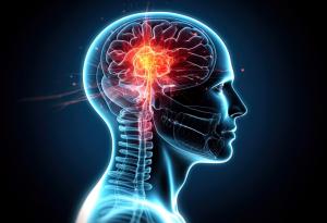 Oткриха невронни механизми, които мозъкът използва при планиране 