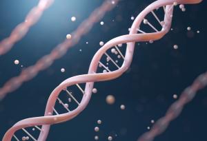 ДНК се държи по различен начин, когато е заобиколена от плътна маса молекули