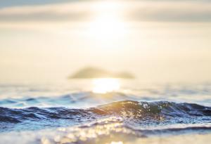 Жак-Ив Кусто за морето