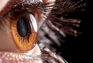 Периферното зрение е резултат от еволюцията на черепа