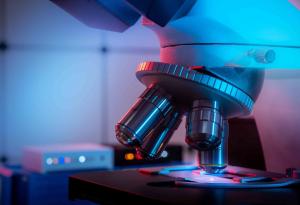 Започва нова национална програма за научните изследвания и иновациите в училищата