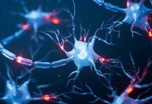 По-малко от 500 неврона потискат прекомерното пиене, сочи ново проучване