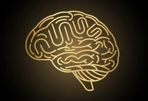 Нидерландски учени създадоха модел за прогнозиране на състоянието на болните от Алцхаймер