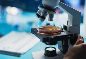 Млад български учен разработва макромолекули за биомедицината