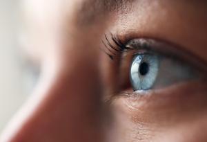 Нови данни за зрението поставят човешкото око във фокуса на вниманието