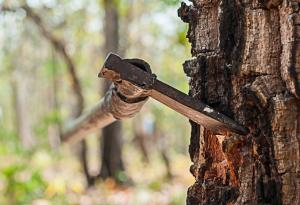 Виц: Добрата фея