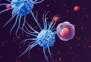 Освобождаването на молекулярна "спирачка" помага на имунните клетки да се борят по-добре с рака