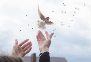 Прощавам и (не) забравям