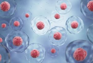 Учени направиха пробив в разбирането за това как клетките се специализират 