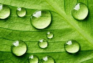 Откриха нов тип химична връзка. И тя е изненадващо силна