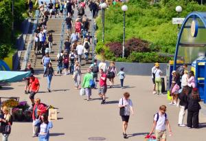 Хората се движат повече от всички диви сухоземни животни