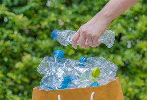 Замърсяването с пластмаса е "сериозна и нарастваща" заплаха за здравето