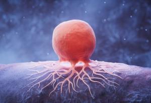 Създадоха гел, който може да помогне на имунната система за изграждане на защита срещу рака