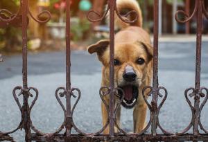 Виц: Гостите разбраха, че е време да си ходят