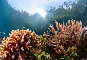 Германски авиоинженер живя 120 дни под вода и подобри световен рекорд