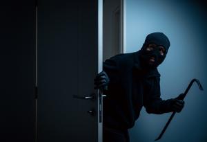 Виц: Разликата между глупака и крадеца