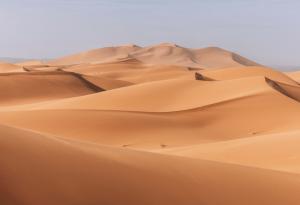 Виц: Две блондинки в пустинята