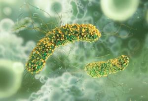 Антибиотичната резистентност може да причини смъртта на над 39 милиона души до 2050 г.